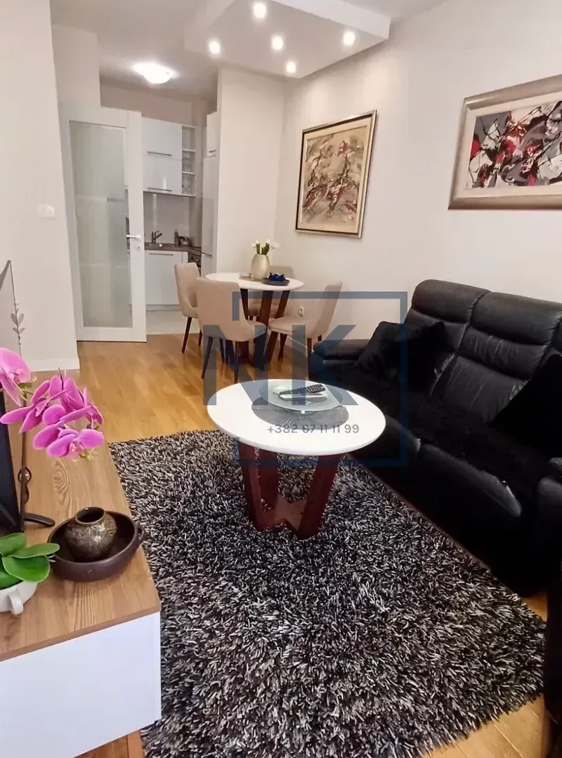 Rent, one bedroom apartment, 402m², Central Point, Podgorica