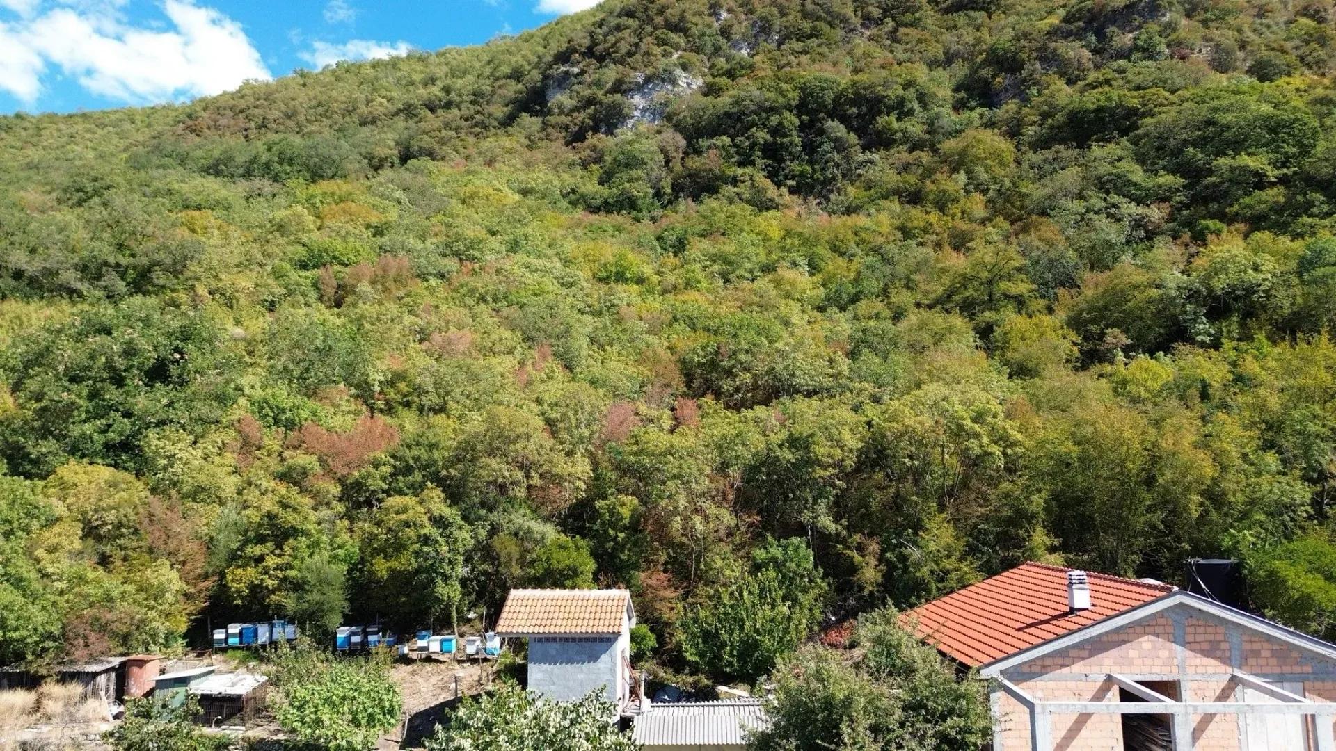Pogled iz vazduha na šumovito brdo i objekte u podnožju.