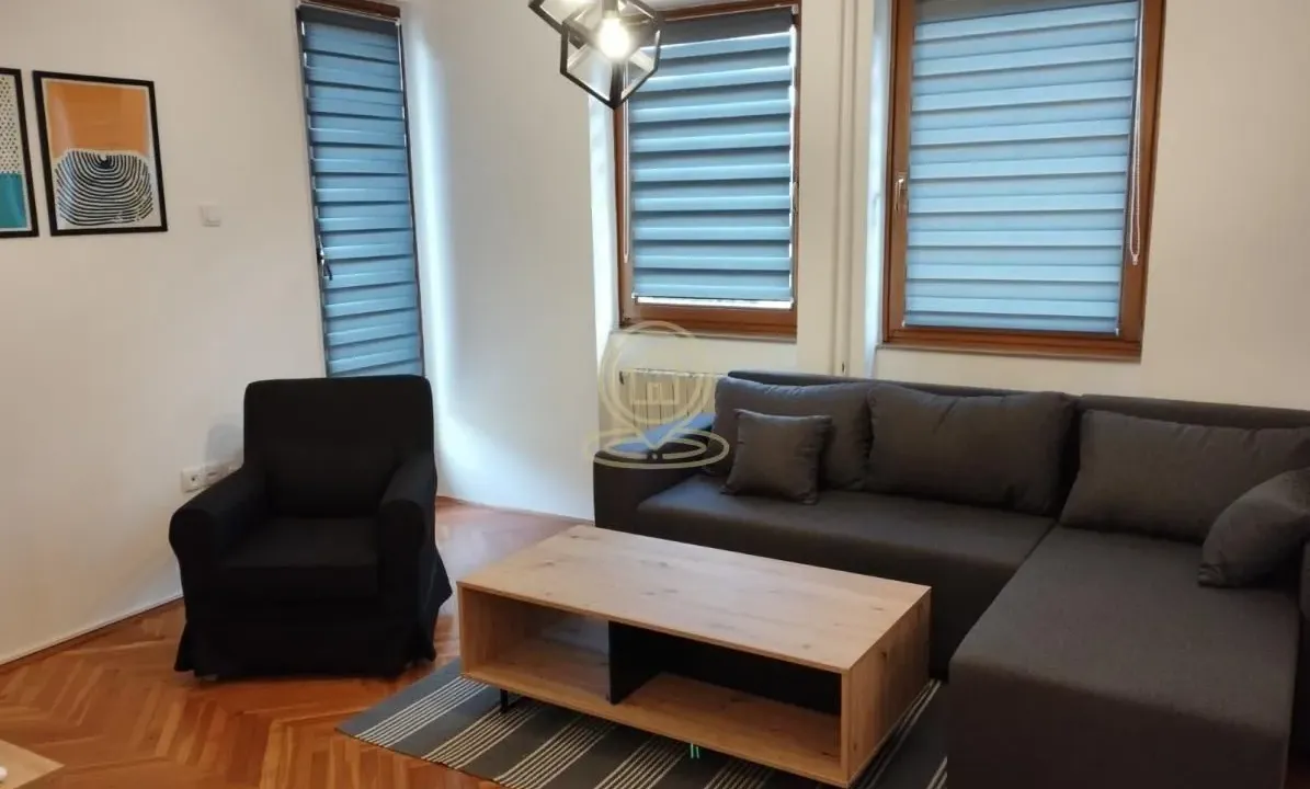 Izdavanje, dvosoban stan, 45m², Centar, Novi Sad