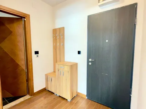 Izdavanje, jednosoban stan, 47m², Ljubović, Podgorica - image 5