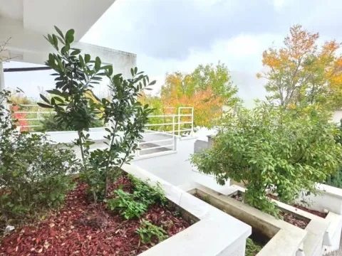 Izdavanje, kuća, 280m², Čukarica, Beograd - image 20