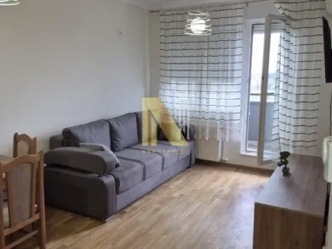 Izdavanje, jednosoban stan, 45m², Avijatičarsko naselje, Novi Sad Sve Podlokacije - image 1