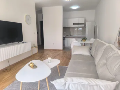 Rent, one bedroom apartment, 42m², Zagorič, Podgorica - image 3