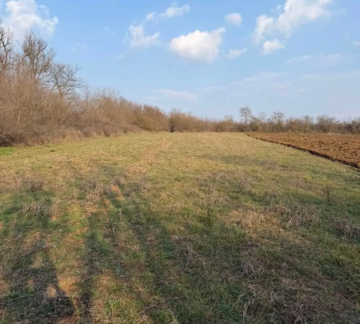 Prodaja, plac, 5836m², Pojate, Ćićevac
