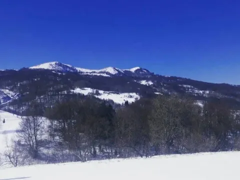 Zemljište in Veruša