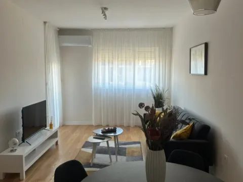 Izdavanje, jednosoban stan, 49m², Central Point, Podgorica - image 3