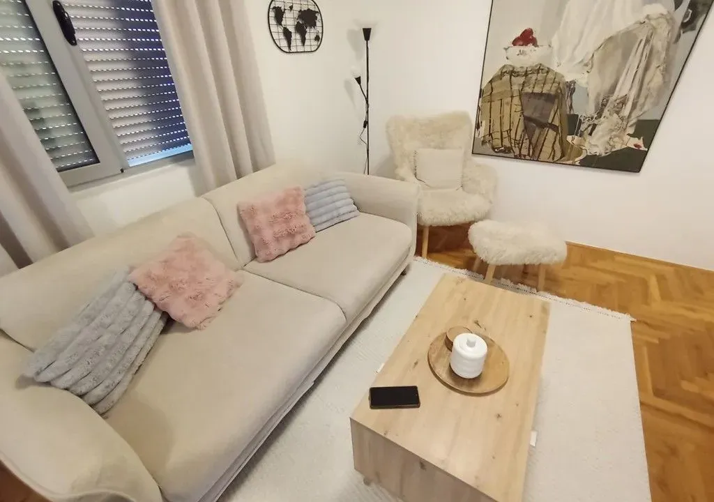 Rent, one bedroom apartment, 47m², Vezirov Most, Podgorica