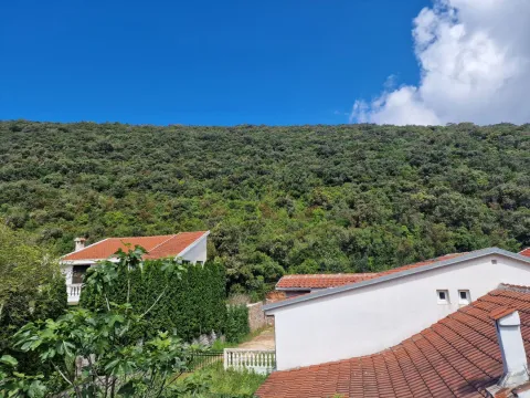 Prodaja, plac, 3585m², Krimovica, Kotor - image 6