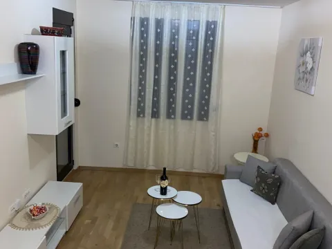 Rent, one bedroom apartment, 45m², Vezirov Most, Podgorica - image 6