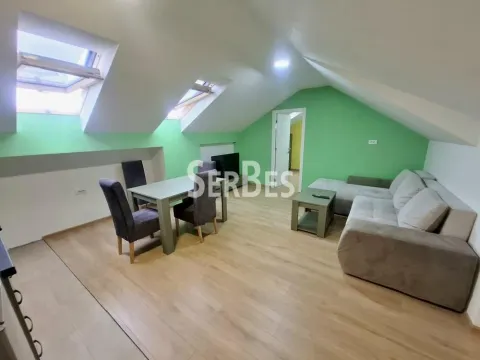 Izdavanje, dvosoban stan, 51m², Adice, Novi Sad Sve Podlokacije - image 4