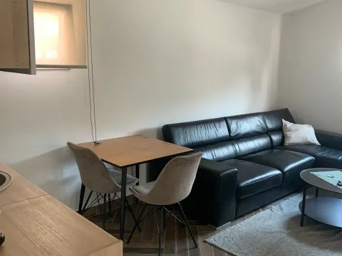 Izdavanje, jednosoban stan, 45m², City Kvart, Podgorica - image 9