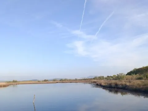 Prodaja, plac, 14608m², Donji Štoj, Ulcinj - image 6