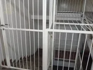 Izdavanje, trosoban stan, 74m², Bulevar, Niš - image 14