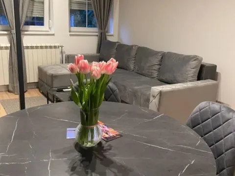 Izdavanje, jednosoban stan, 30m², Grbavica, Novi Sad Sve Podlokacije