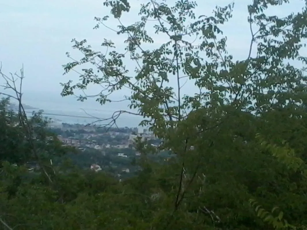 Prodaja, plac, 20752m², Župci, Bar