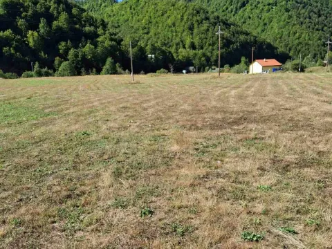 Prodaja, plac, 7000m², Veruša, Podgorica - image 5