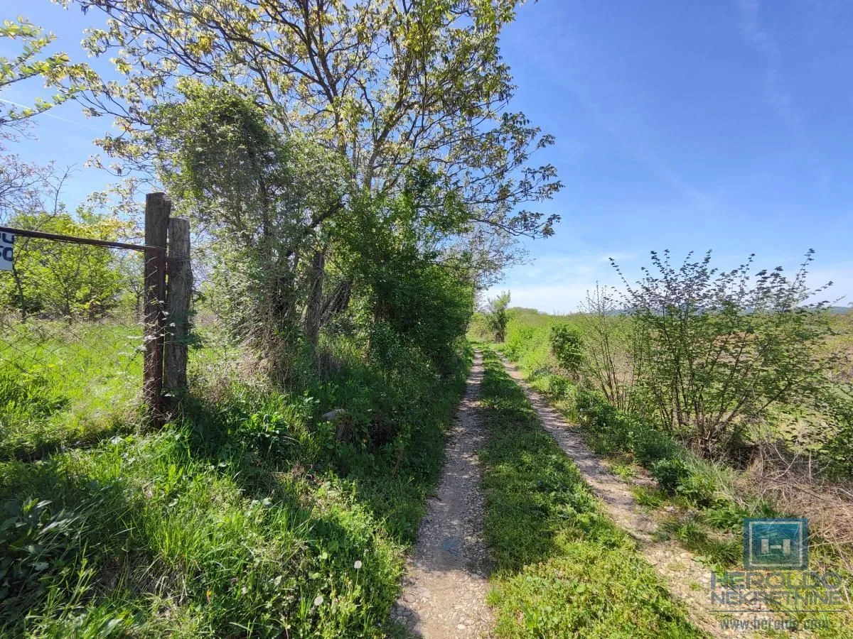 Prodaja, plac, 2345m², Trnava, Jagodina