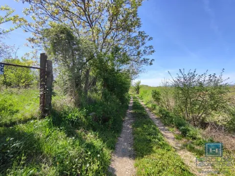 Sale, land lot, 2300m², Trnava, Jagodina - image 3