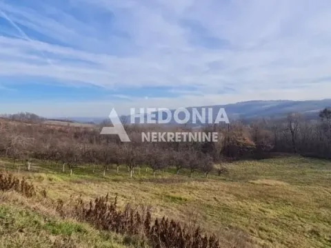 Sale, house, 364m², Darosava, Arandjelovac - image 6