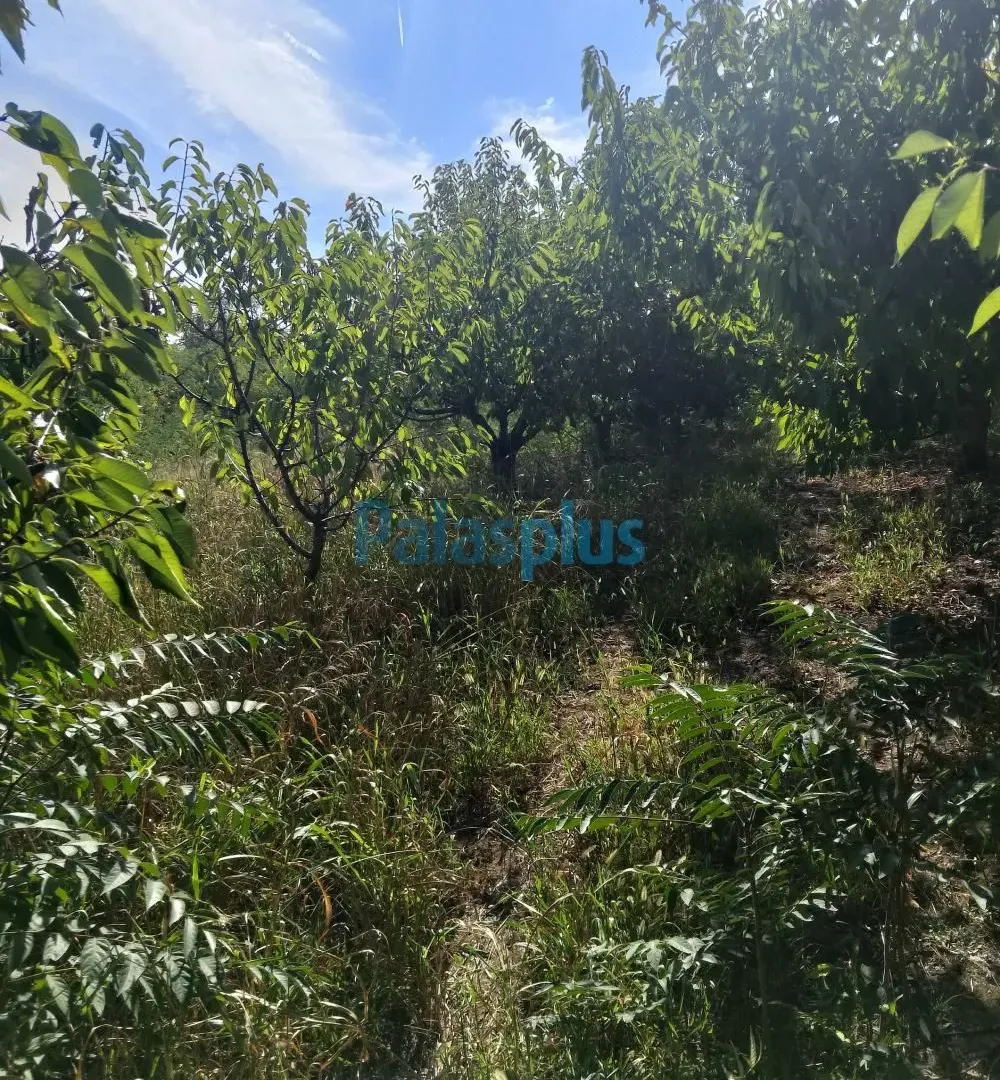 Prodaja, plac, 2457m², Plavinci, Grocka