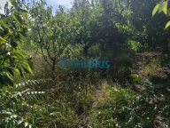 Prodaja, plac, Plavinci, Grocka - image 6