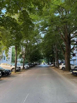 Ulica sa drvoredom i parkiranim automobilima ispred zgrade. - image 10