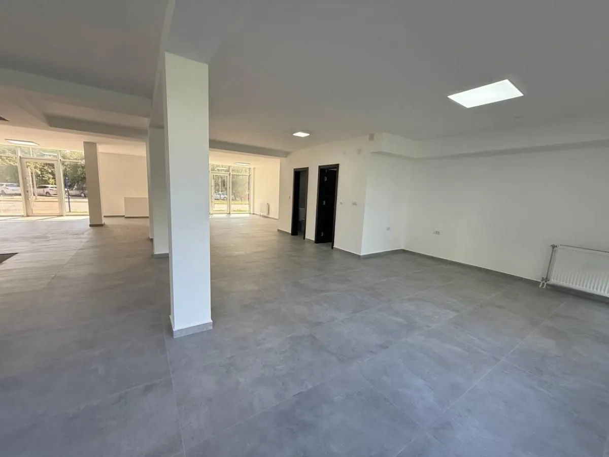 Rent, office space, 349m², Bulevar patrijarha Pavla, Novi Sad Sve Podlokacije