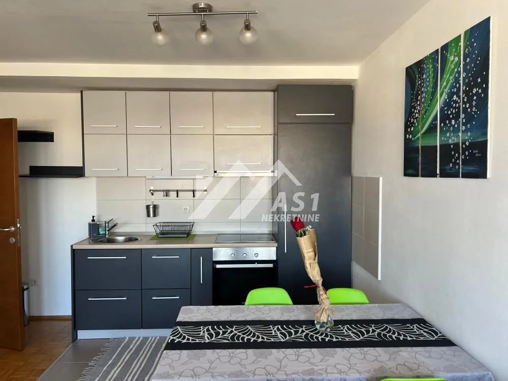 Izdavanje, dvosoban stan, 41m², Bulevar Oslobodjenja, Novi Sad Sve Podlokacije