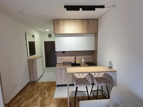 Rent, studio apartment, 30m², Stari Aerodrom, Podgorica - image 2