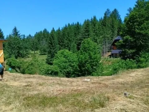 Sale, land lot, 479m², Tara, Srbija - image 4