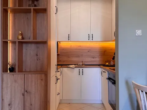 Rent, one bedroom apartment, 45m², Zabjelo, Podgorica - image 1