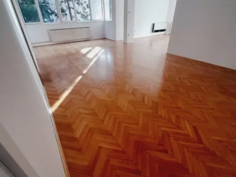 Izdavanje, kuća, 600m², Dedinje Rtv Pink, Dedinje Sve Podlokacije - image 3