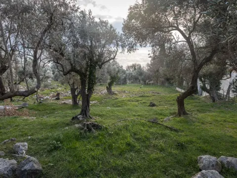 Prodaja, plac, 1740m², Reževići, Budva - image 6