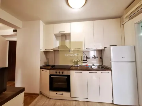 Izdavanje, dvosoban stan, 53m², Tašmajdan, Palilula Sve Podlokacije - image 9