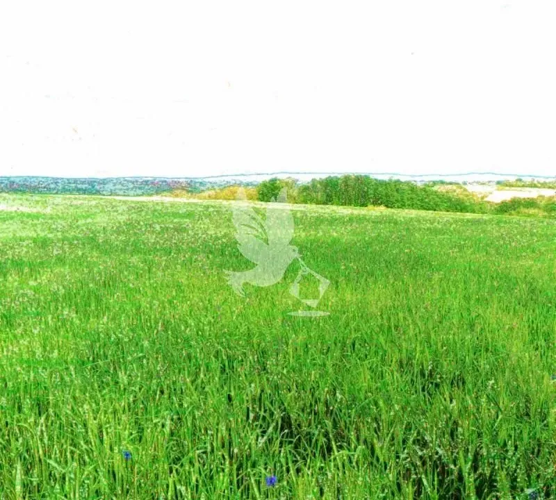 Prodaja, plac, 47000m², Sopot, Beograd