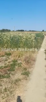 Zemljište sa pristupnim putem i zasađenom vegetacijom. - image 3