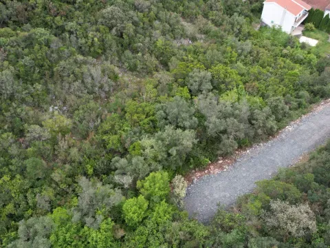 Prodaja, plac, 3585m², Krimovica, Kotor - image 11