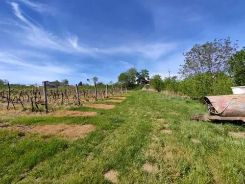 Prodaja, plac, 3700m², Beočin, Srbija - image 3