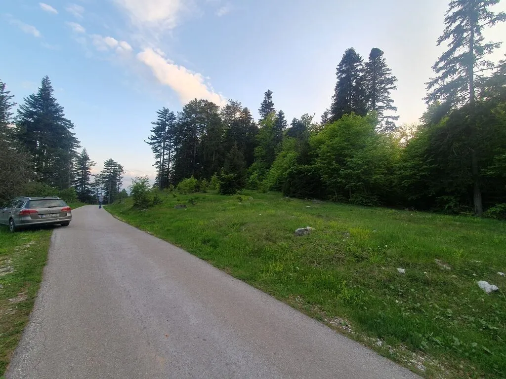 Prodaja, plac, 1130m², Centar, Zlatibor
