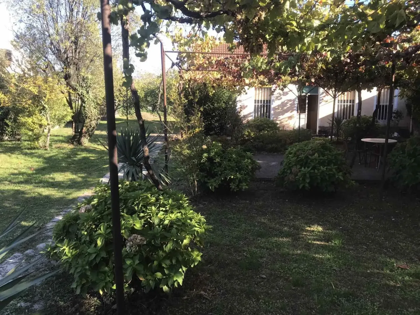 Prostrano dvorište sa bujnim zelenilom ispred kuće.