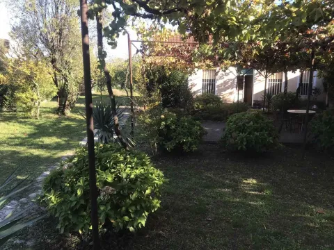 Prostrano dvorište sa bujnim zelenilom ispred kuće. - image 6