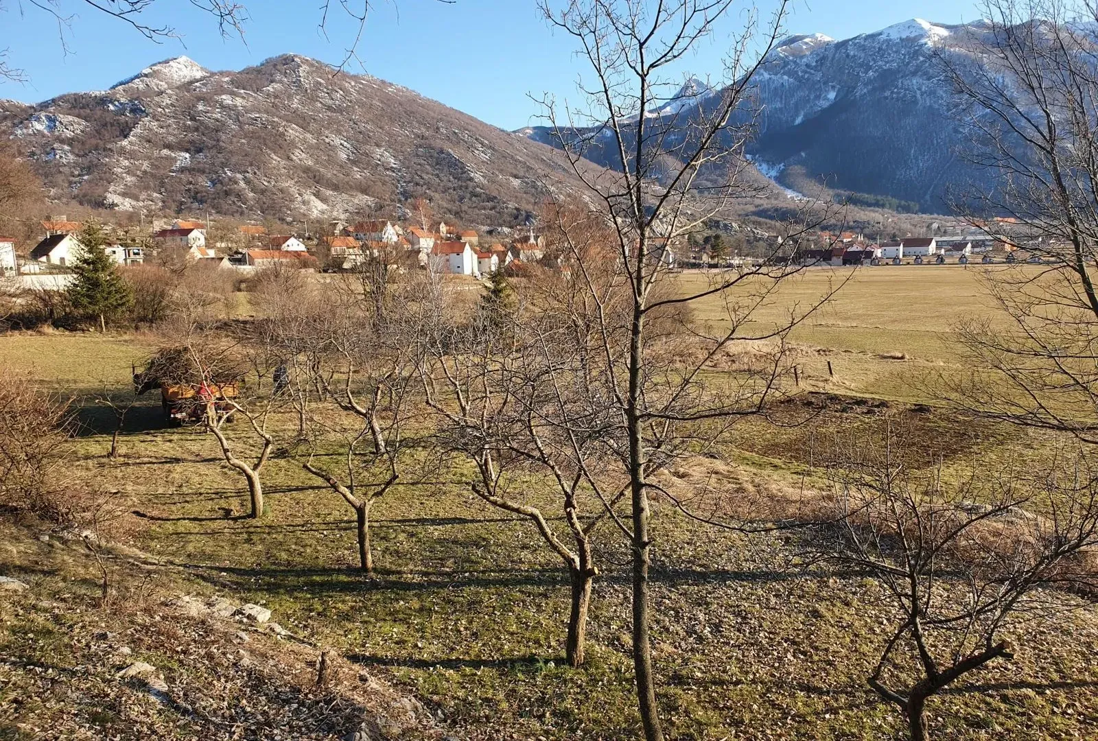 Prodaja, plac, 4984m², Njeguši, Cetinje