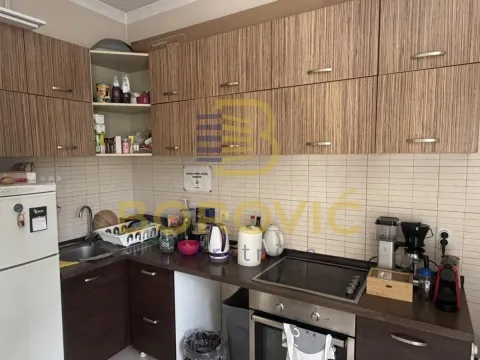 Rent, four bedroom apartment, 115m², Vračar Sve Podlokacije, Beograd - image 15