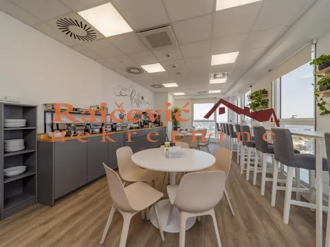 Izdavanje, poslovni prostor, 289m², Tašmajdan, Palilula Sve Podlokacije - image 6