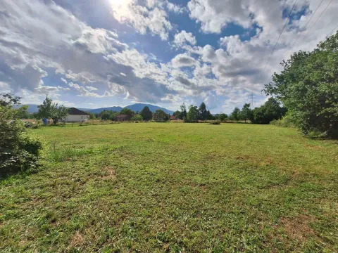 Prodaja, plac, 3000m², Donji Martinići, Danilovgrad - image 4