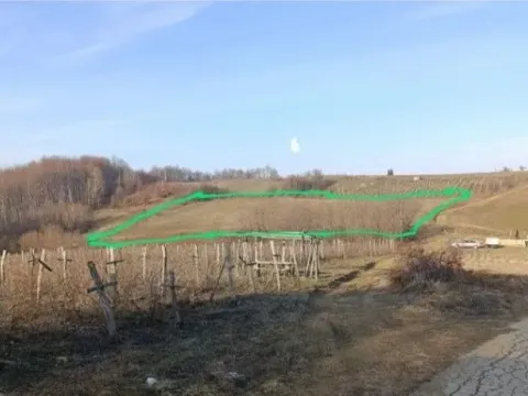 Sale, land lot, 8000m², Kržava, Krupanj - image 5