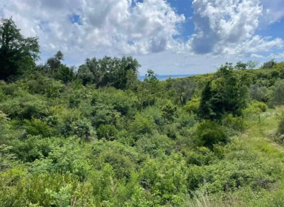 Sale, land lot, 2405m², Reževići, Budva