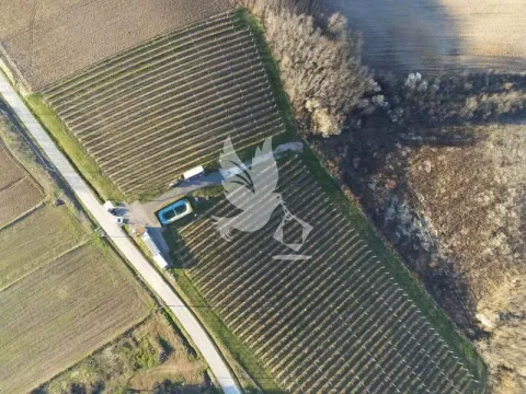 Prodaja, plac, 20000m², Nemenikuće, Sopot - image 11