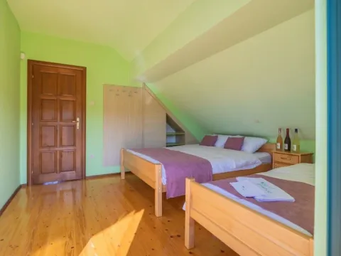 Sale, house, 300m², Motički gaj, Žabljak - image 14