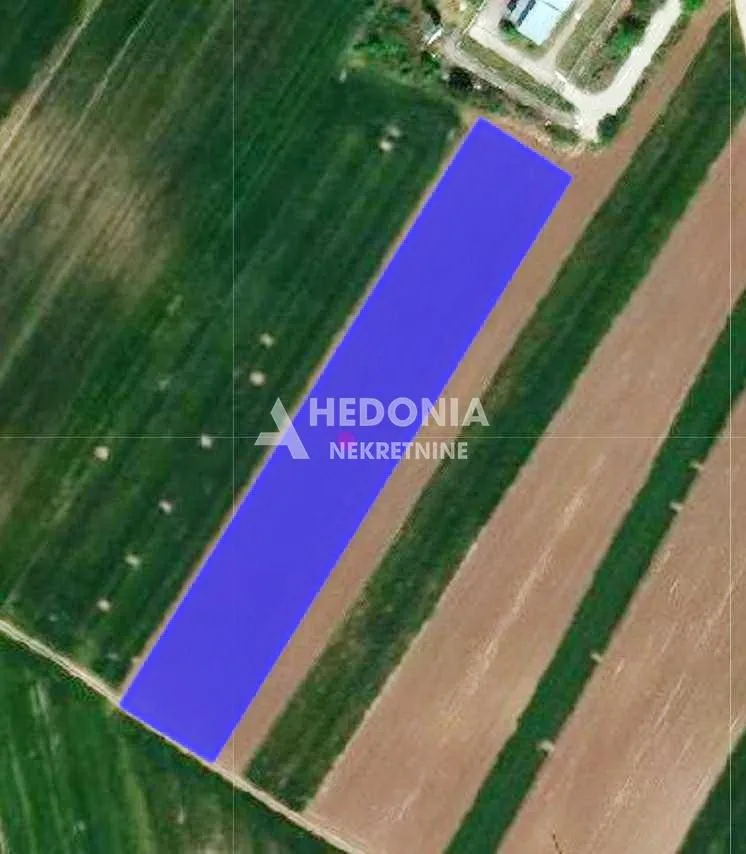 Prodaja, plac, 8300m², Surčin, Beograd